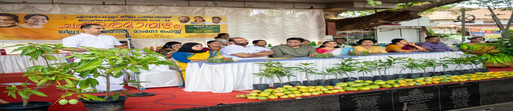 ചക്കര മാമ്പഴം - മാംഗോ ഫെസ്റ്റ്